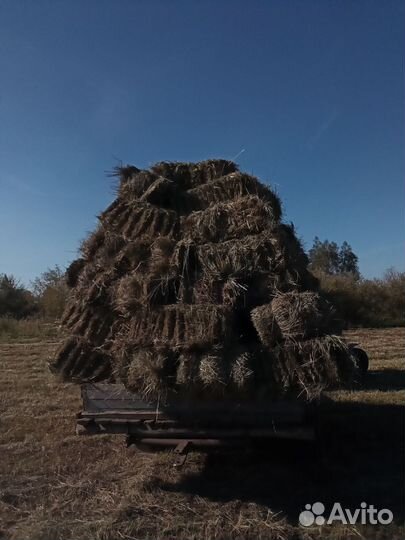 Сено в рулонах и тюках