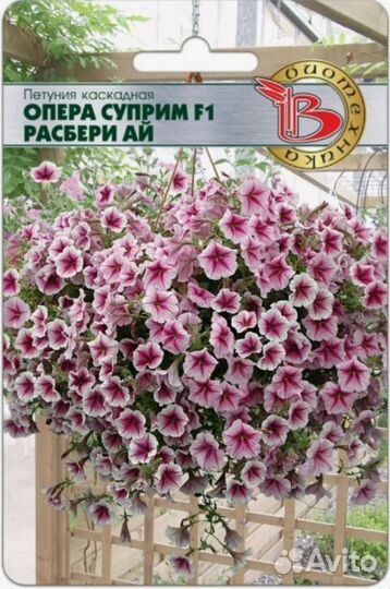 Петуния, лобелия, ипомея батат