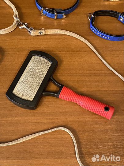 Ошейник для маленькой собаки