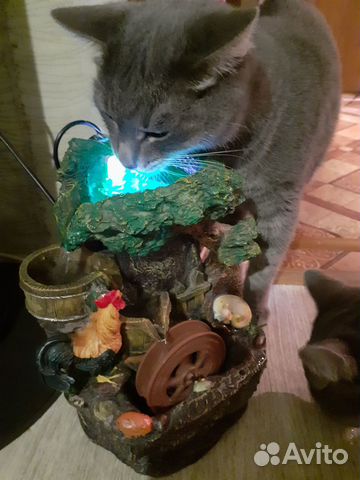 Фонтан поилка для кошек