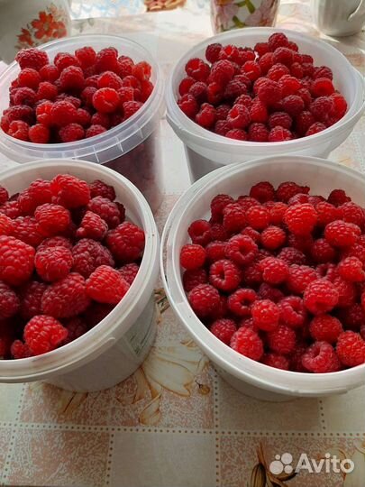 Малина ягоды