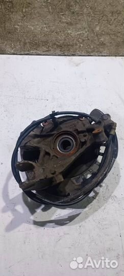 Кулак задний правый