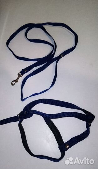 Шлейка для маленькой собаки