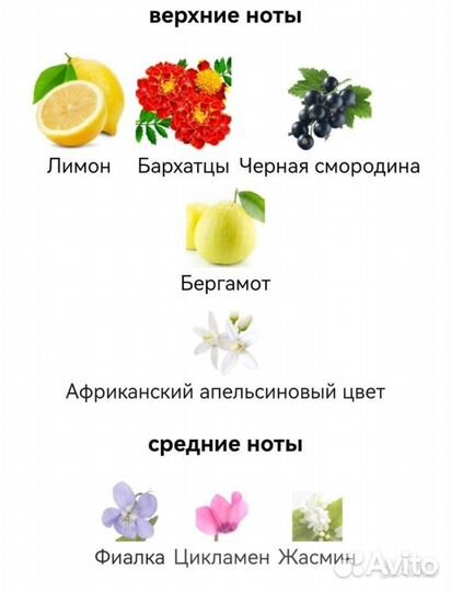 Byredo Bal d'Afrique унисекс