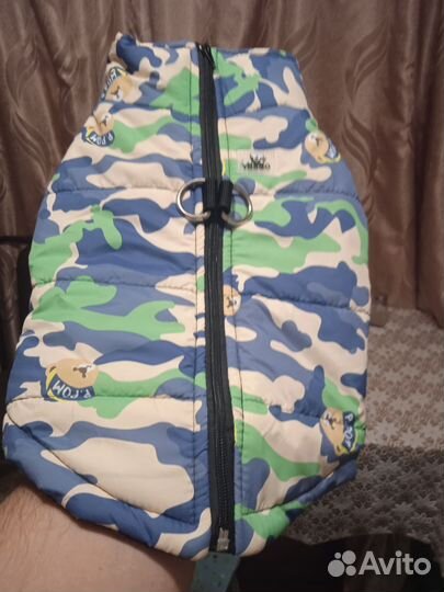 Желает собачий новый