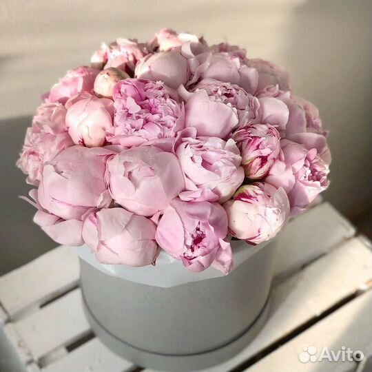 25 розовых пионов в шляпной коробке