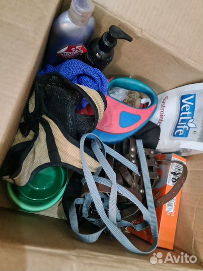 Аксессуары для животных