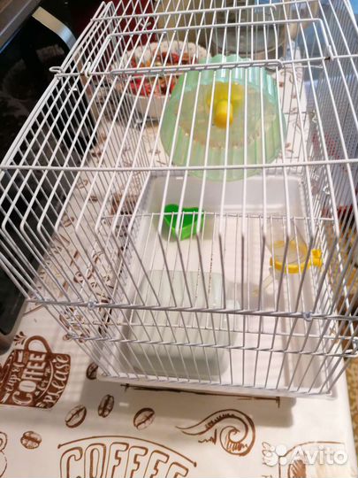 Клетка для грызунов