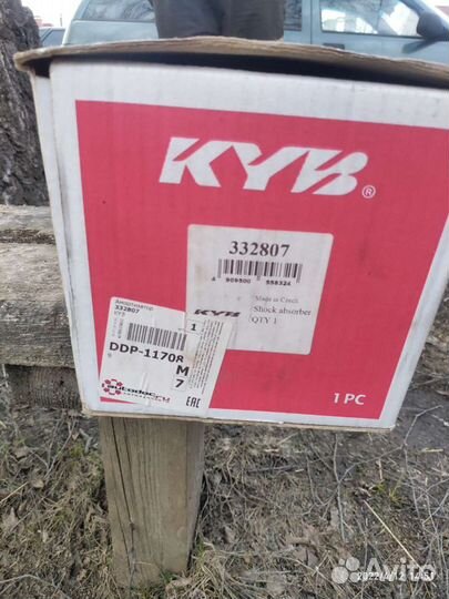 Передняя стоика