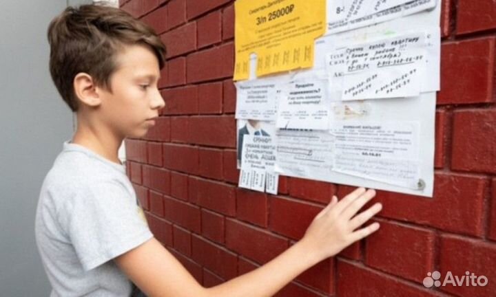 Расклейка/распространение