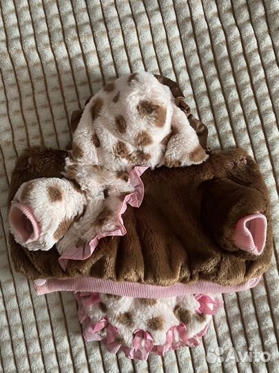 Одежда для маленьких собак