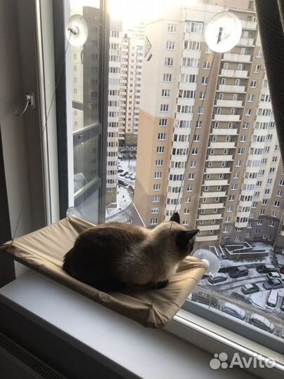 Лежанка для кошек новая, подвесная