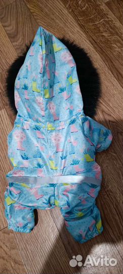 Одежда для мини собачки