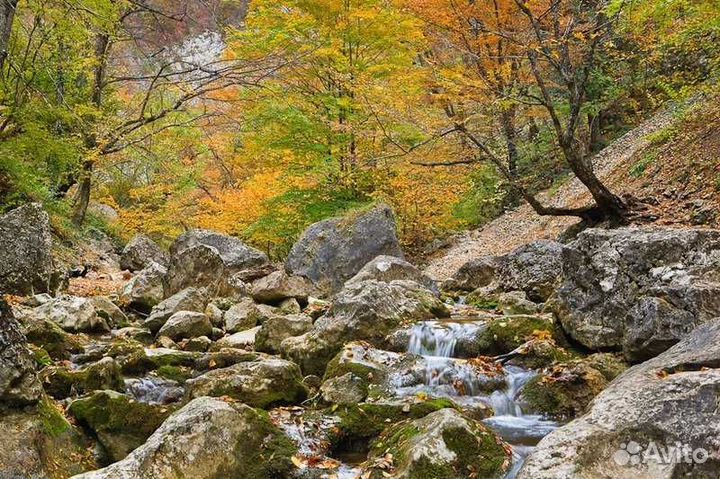 Отдых в Крыму бушкрафт отдых