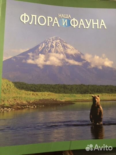 Журналы Наша флора и фауна