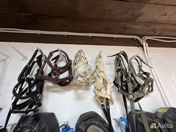 Узда для лошади