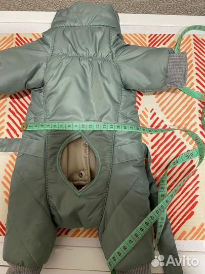 Одежда для собак мелких пород