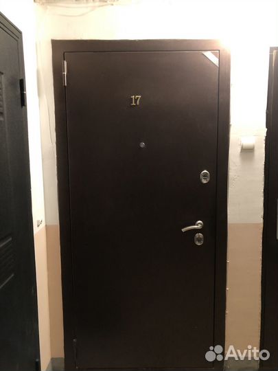 Дверь металлическая