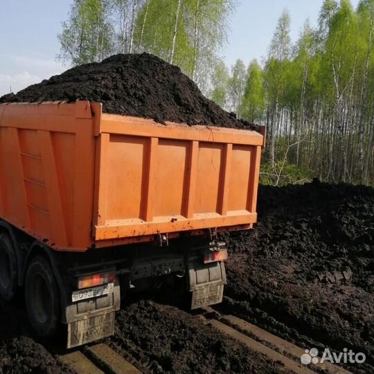 Чернозем