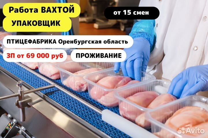 Упаковщик без опыта / Вахта 15/15 / Птицефабрика