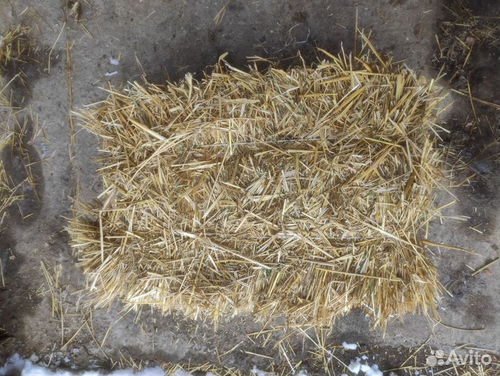 Солома в тюках с доставкой в Истру