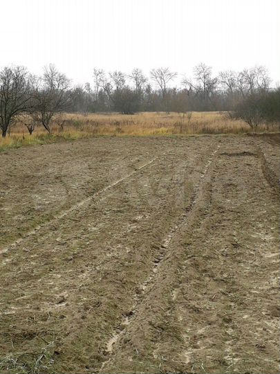 Участок 10 сот. (СНТ, ДНП)