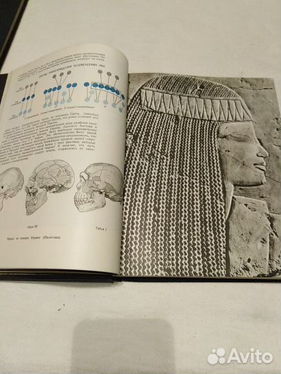 Наука и Человечество 1964г