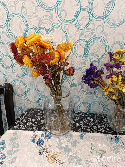 Гелихризум сухоцвет