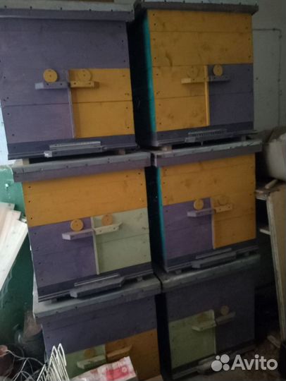 Улей домик для пчёл Дадан,сушь