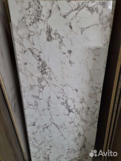 Стелешницы