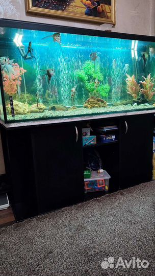 Аквариум с тумбой