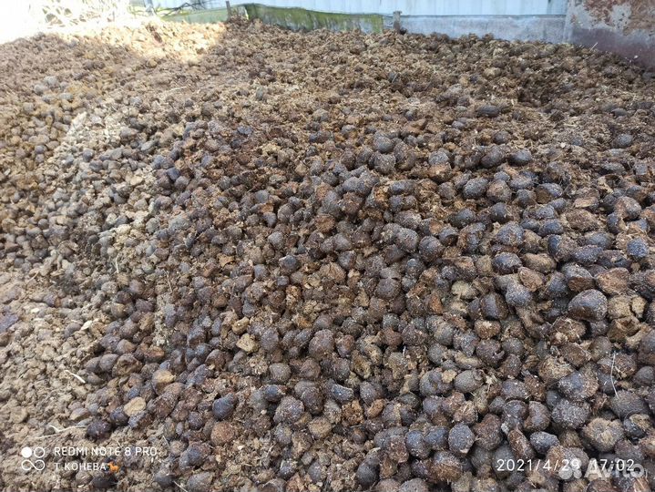 Конский навоз