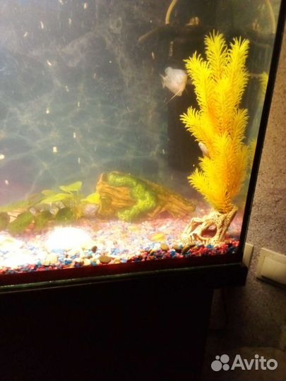 Аквариум с тумбой