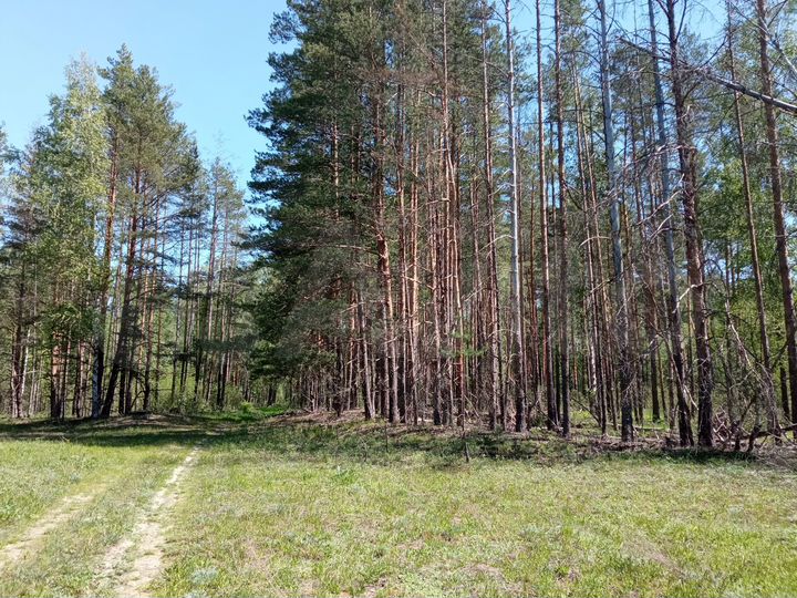 Участок 26,7 га (СНТ, ДНП)