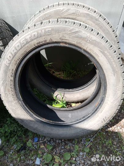 Roadstone Winguard WinSpike 205/55 R16