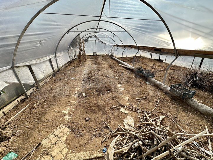 Участок 4,1 сот. (СНТ, ДНП)