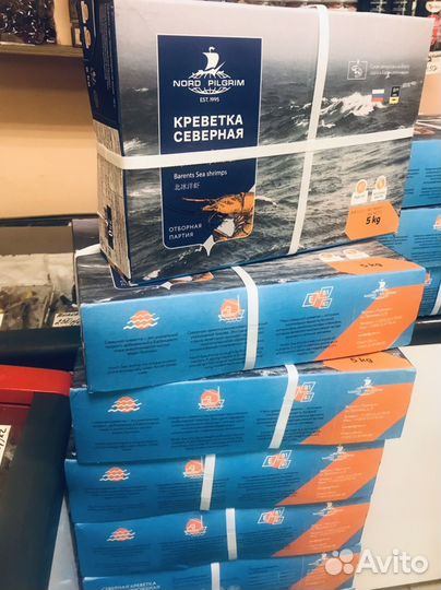 Креветка Северная 250+