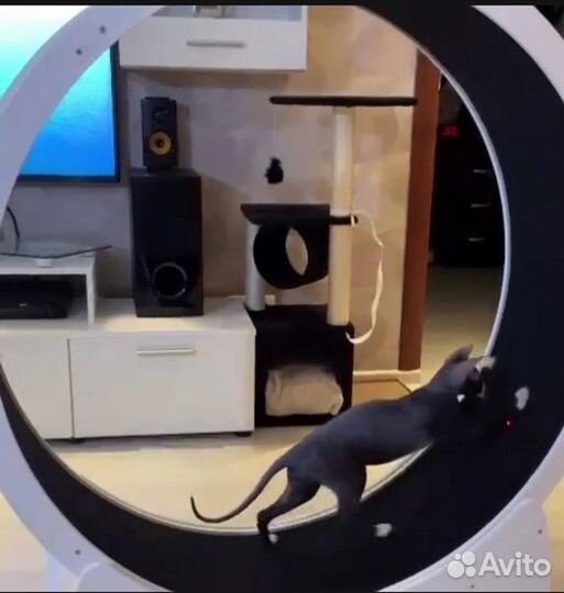 Беговое колесо