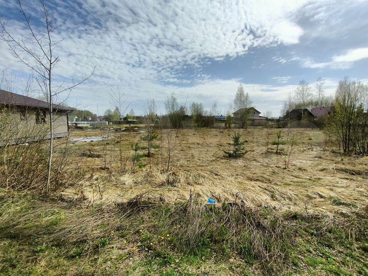 Участок 15,5 сот. (ИЖС)