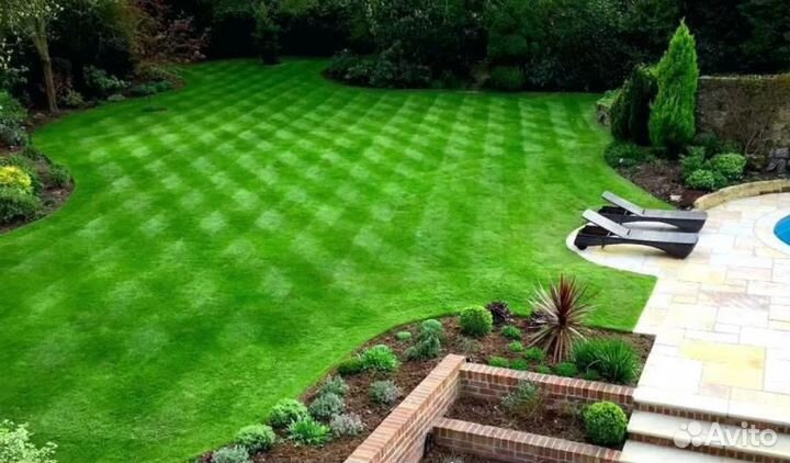 Рулонный газон с реализацией