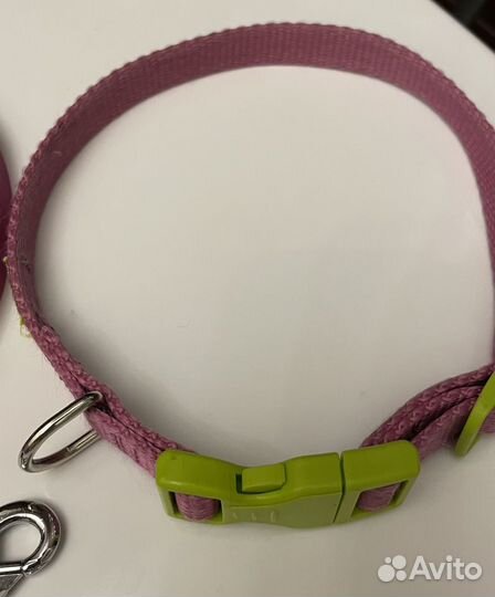 Комплект Ferplast Club поводок + ошейник