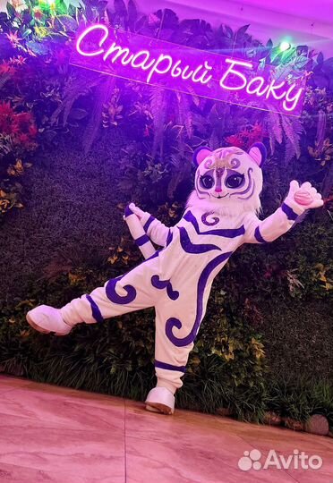 Экспресс поздравление