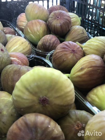 Инжир плоды