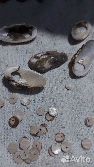 Пуговицы СССР перламутр из морских раковин