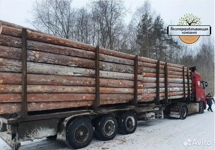 Пиловочник Хвойный опт