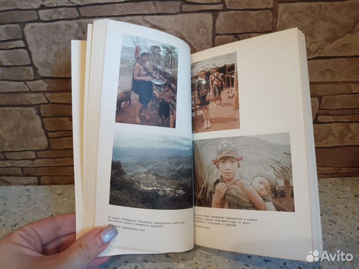 Золотой треугольник Богуслав Шнайдер