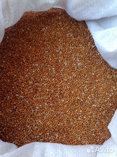 Корма пшеница отсев сечка просо от 10-45кг мешки