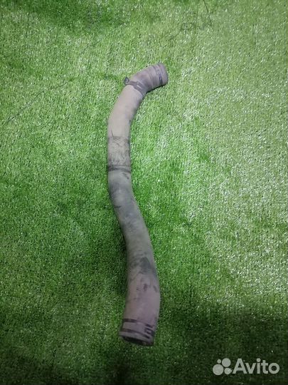 Патрубок охлаждения (радиатора) 21503JN20Aнижний N