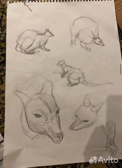 Репетитор по рисованию