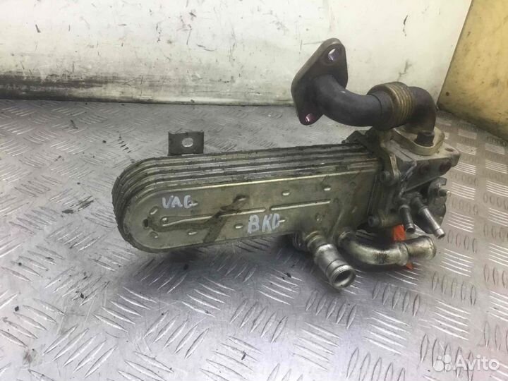 Радиатор EGR Сеат Альтея 03g131513j Bkd